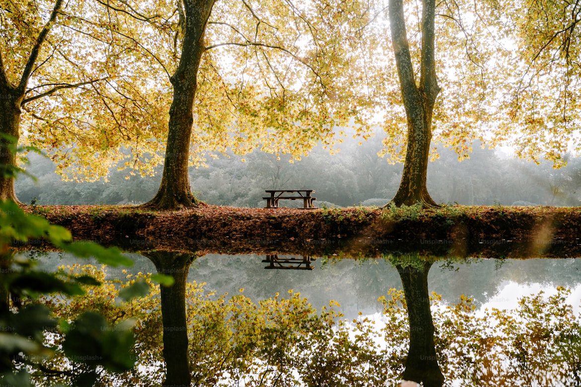 Grounded, Trauma‑Informed Care